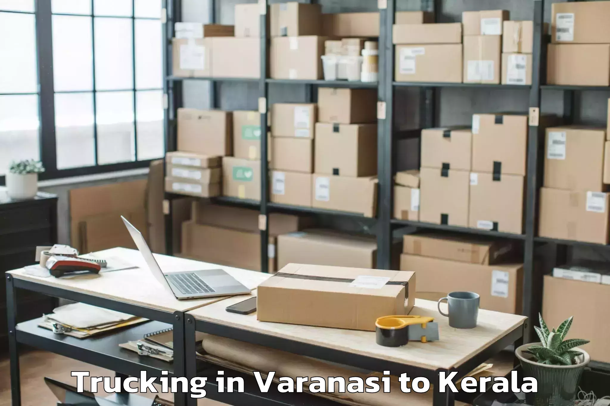 Comprehensive Varanasi to Punalur Trucking